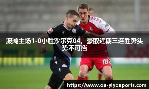 波鸿主场1-0小胜沙尔克04，豪取近期三连胜势头势不可挡
