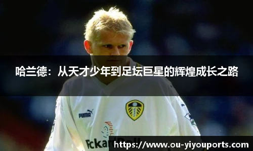 易游体育yy